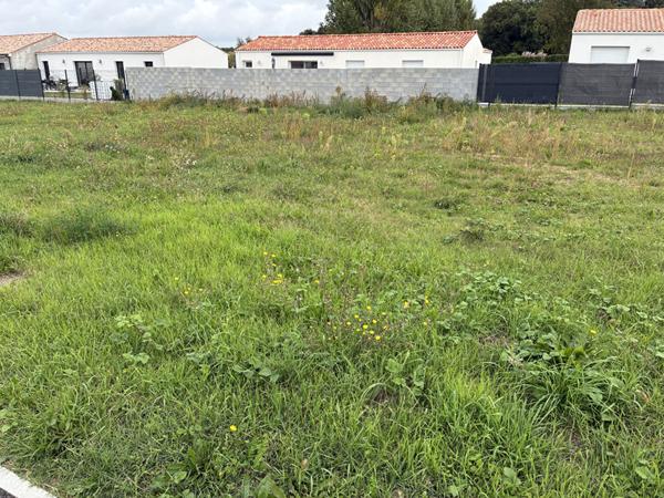 Terrain Saint Just Luzac 445 m2