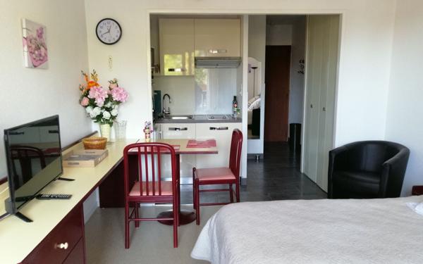 Appartement à vendre    1 pièce • 23,88 m2 Dax