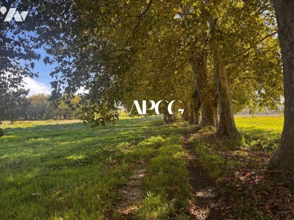 ENSEMBLE IMMOBILIER - FORT POTENTIEL - A RENOVER EN DROME PROVENCALE 