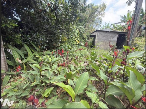 Maison  T3 avec jardin arboré -CARROSSE  Saint-Joseph