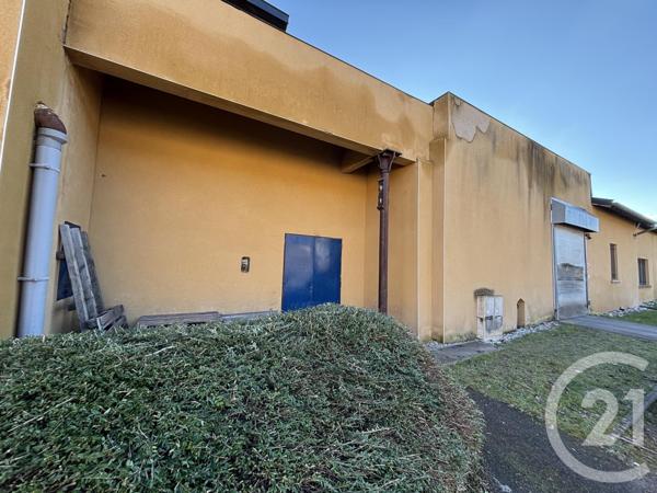 à vendre  760 m2 SENONES - 88