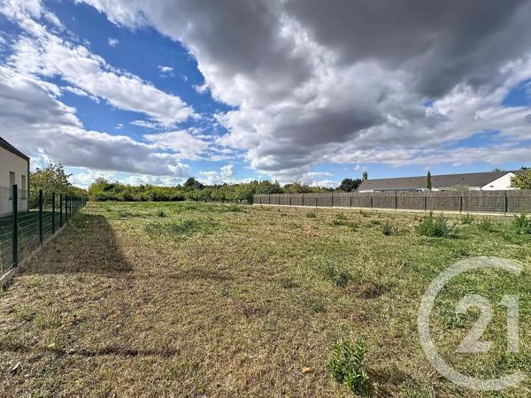 Terrain à vendre  2613 m 2   OLIVET  - 45