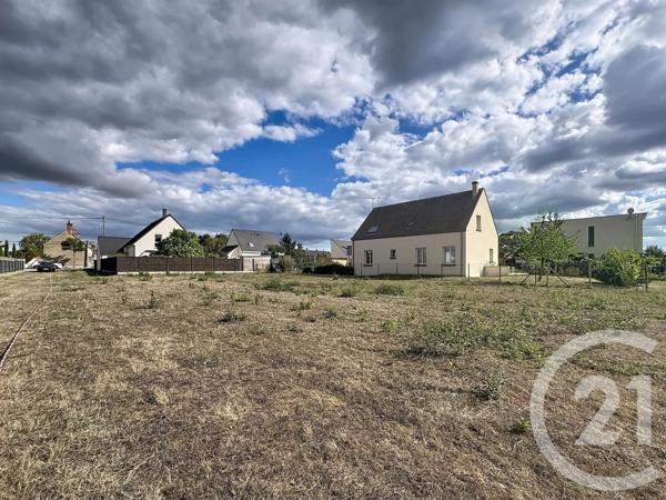 Terrain à vendre  2613 m 2   OLIVET  - 45