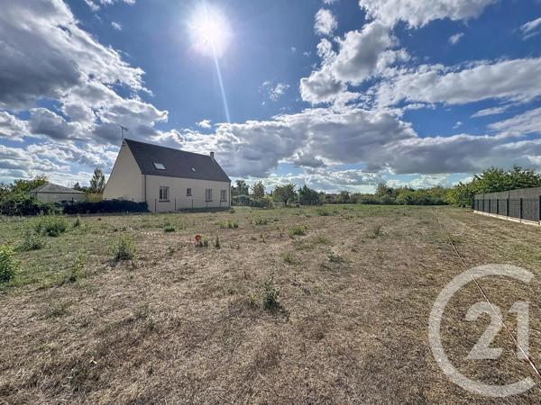 Terrain à vendre  2613 m 2   OLIVET  - 45