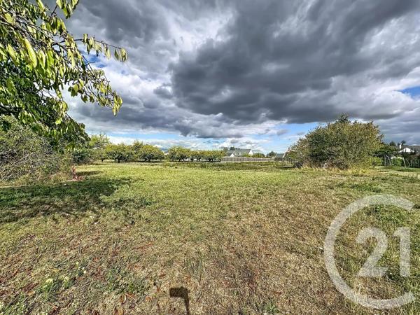 Terrain à vendre  2613 m 2   OLIVET  - 45