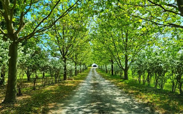 Maison à vendre    8 pièces • 492,72 m2 Forcalquier