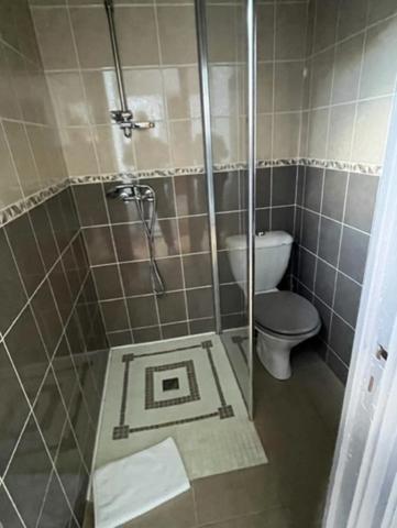 Dpt Gers (32), à vendre MARCIAC proche , Beau CHATEAU dominant sur 8ha ideal acueil public, EVENEMENTIEL, résidence séniors, communauté, habitat partagé