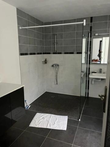 Dpt Gers (32), à vendre MARCIAC proche , Beau CHATEAU dominant sur 8ha ideal acueil public, EVENEMENTIEL, résidence séniors, communauté, habitat partagé