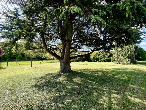 Savonnières (37510) Beau terrain de 780m2