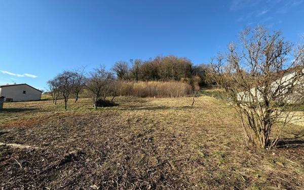 Terrain à vendre    Naives-Rosières