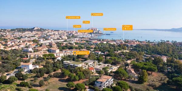 Vente Appartement 2 pièces 49 m2 à Calvi