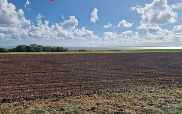 Maison à vendre    5 pièces •  Port-des-Barques