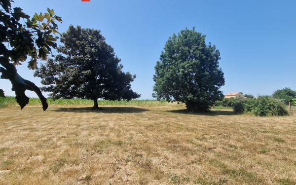 Maison à vendre    5 pièces •  Port-des-Barques