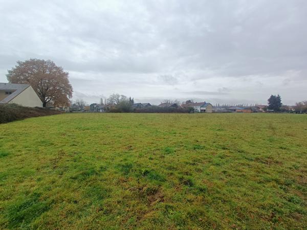 Terrain - 11770 m² Exclusivité efficity