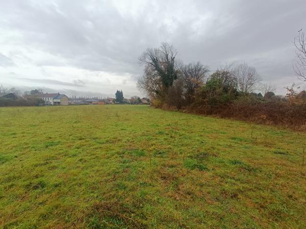 Terrain - 11770 m² Exclusivité efficity