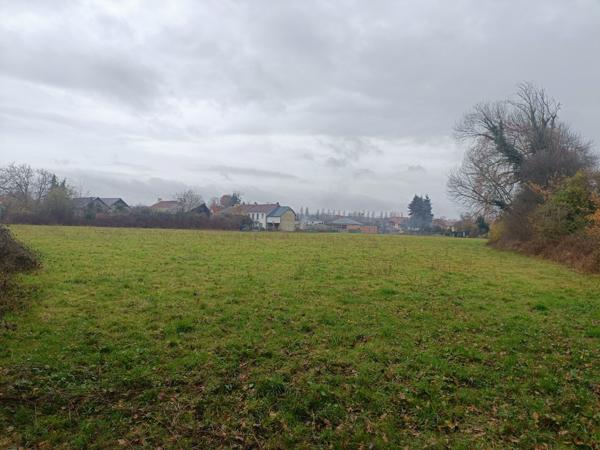 Terrain - 11770 m² Exclusivité efficity