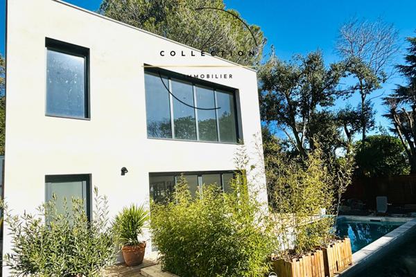 Castelnau-le-Lez (34170) Villa contemporaine-environnement très recherché