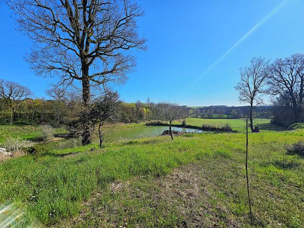 Lacaussade (47150) Bel ensemble en pierre - maison plain pied, studio indépendant, grange et Piscine sur 5000m² possibilité plus