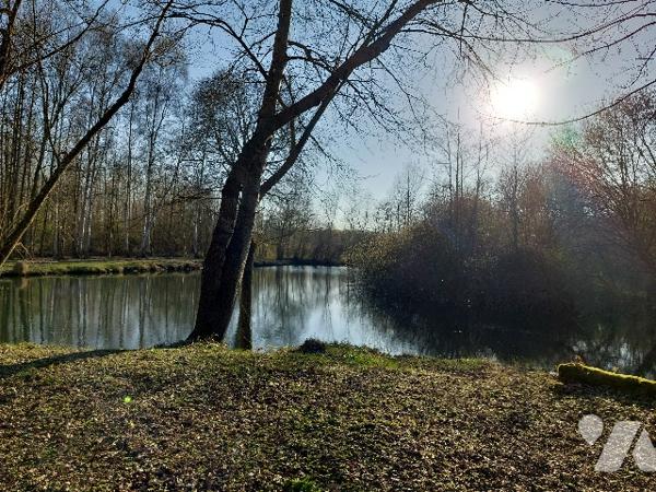 Une parcelle de terrain avec étang, 
Idéal pour pêcheur.