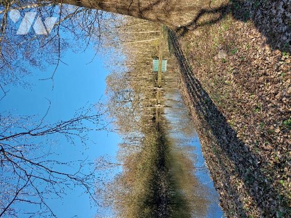 Une parcelle de terrain avec étang, 
Idéal pour pêcheur.