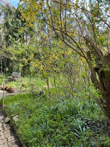 Maison, garages, dépendances et jardin à St Avold  Saint-Avold (57500)