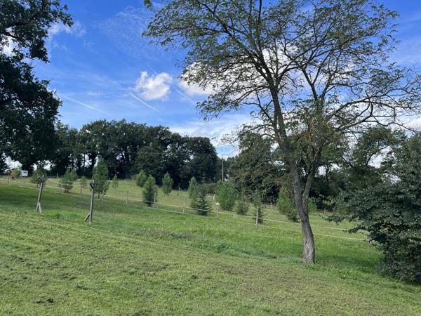 Mauvezin (32120) Propriété 320m² avec 2 Maisons sur 2Ha8