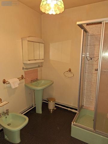 Maison à vendre à Henrichemont dans le Cher (18250), ref : 18016/1624