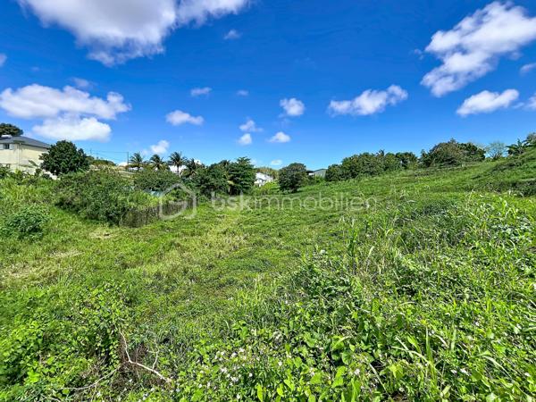 Terrain de 1 103 m²