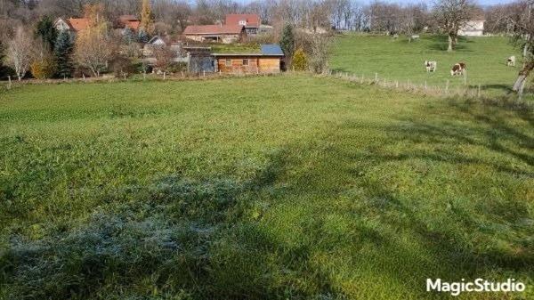 Terrain  borné de 1 190 m² à  Sainte Anne à 30 min de PONTARLIER