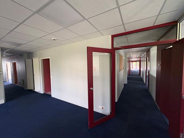 Bureau de plain-pied indépendant et accessible PMR - A louer 550 m2 à la Chapelle Saint Mesmin (ZAC des Portes de Micy)