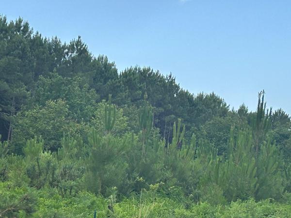 maison 6 pièces 106 m2