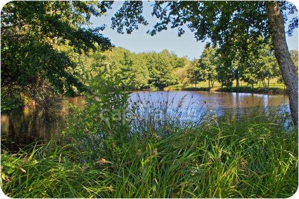 Dpt Dordogne (24), à vendre proche THIVIERS propriété équestre 37 hectares, Demeure, Dépendances, Etang, Prés clos.
