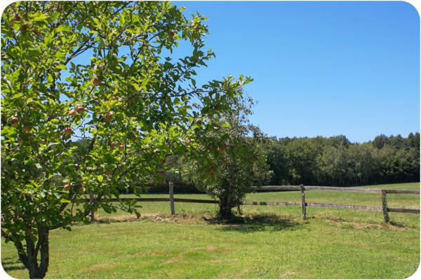 Dpt Dordogne (24), à vendre proche THIVIERS propriété équestre 37 hectares, Demeure, Dépendances, Etang, Prés clos.