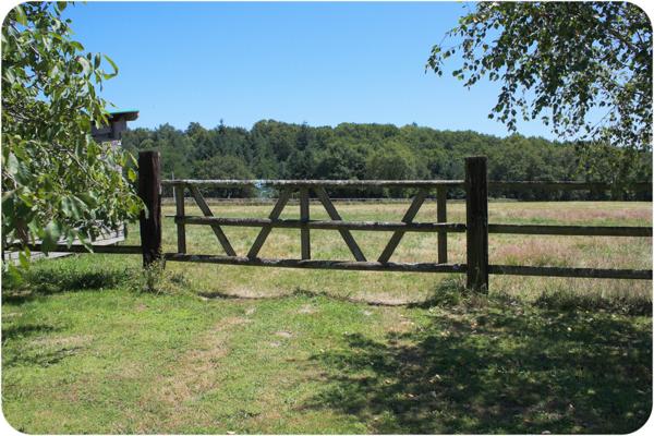 Dpt Dordogne (24), à vendre proche THIVIERS propriété équestre 37 hectares, Demeure, Dépendances, Etang, Prés clos.