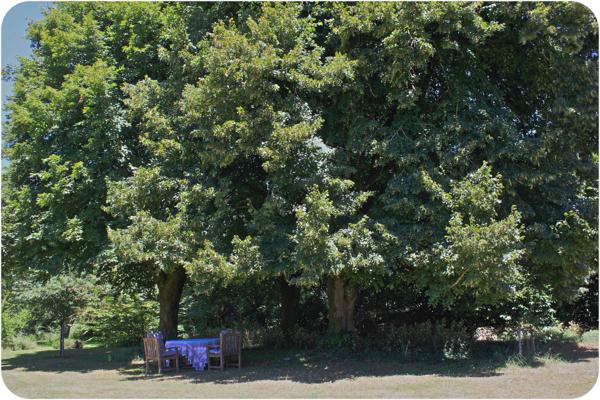 Dpt Dordogne (24), à vendre proche THIVIERS propriété équestre 37 hectares, Demeure, Dépendances, Etang, Prés clos.