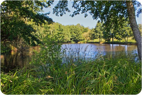 Dpt Dordogne (24), à vendre proche THIVIERS propriété équestre 37 hectares, Demeure, Dépendances, Etang, Prés clos.