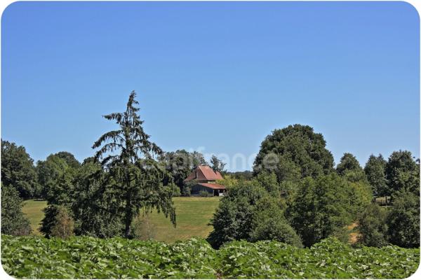 Dpt Dordogne (24), à vendre proche THIVIERS propriété équestre 37 hectares, Demeure, Dépendances, Etang, Prés clos.