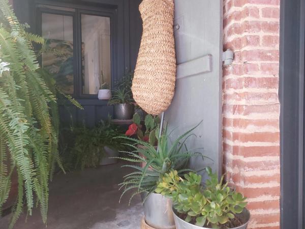 QUARTIER SAINT MICHEL. Maison à vendre 6 pièces MONTAUBAN (82) avec dépendance aménageable et jardin cloturé.