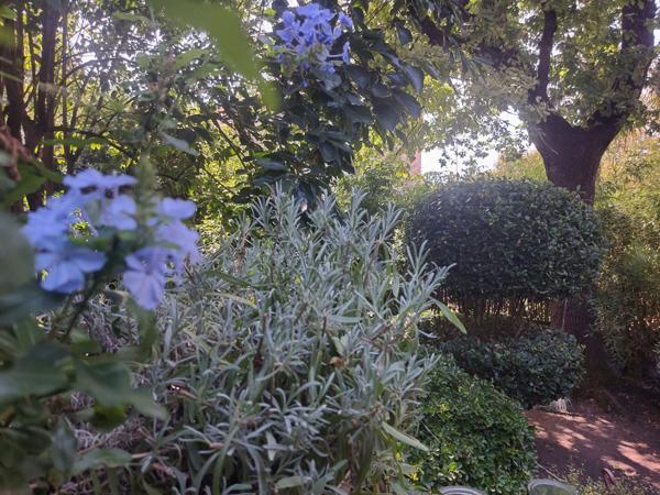 QUARTIER SAINT MICHEL. Maison à vendre 6 pièces MONTAUBAN (82) avec dépendance aménageable et jardin cloturé.