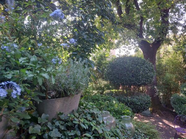 QUARTIER SAINT MICHEL. Maison à vendre 6 pièces MONTAUBAN (82) avec dépendance aménageable et jardin cloturé.