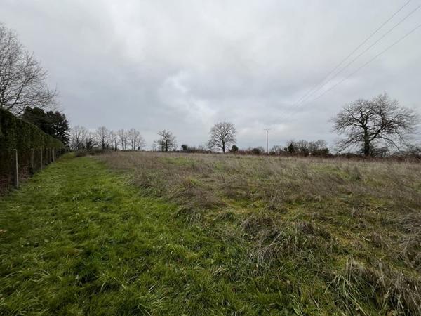 Terrain à vendre 37 000 € Saint-Junien 9440 m² DPE