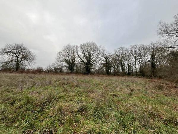 Terrain à vendre 37 000 € Saint-Junien 9440 m² DPE