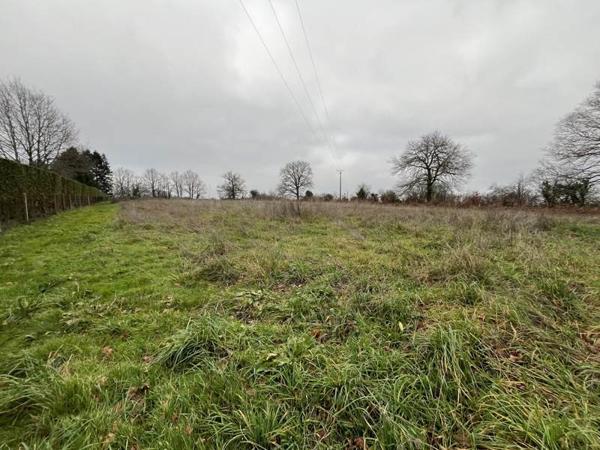 Terrain à vendre 37 000 € Saint-Junien 9440 m² DPE