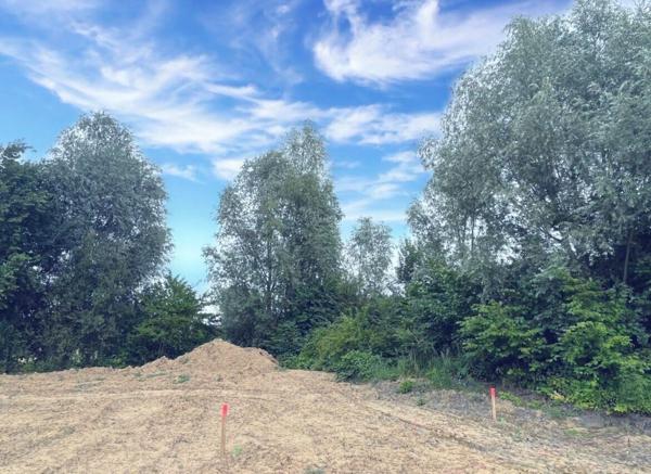 Terrain à vendre    Templeuve