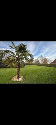 Propriete de 260 m²