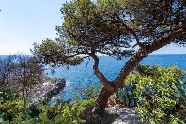 Vente Villa de luxe Nice 6 Pièces 229.23 m²