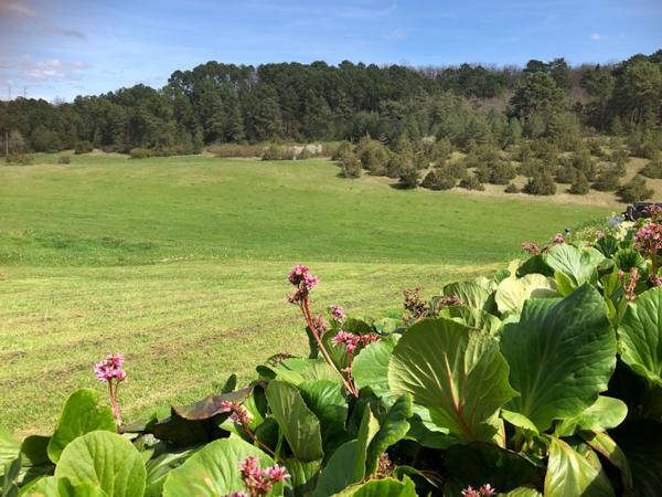 24110 - Domaine  538 m2! magnifiquement situé  dans les collines