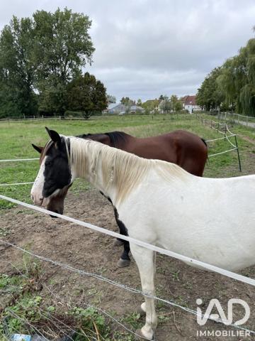 Terrain à vendre 5 450 m² Haverskerque