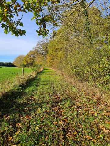 Rare étang de 15 hectares et son moulin en Sud Mayenne