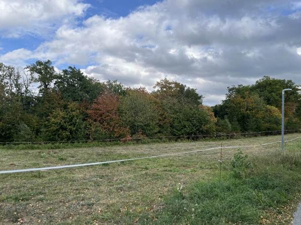Terrain à vendre 27 000 € Latronquière 2718 m² DPE